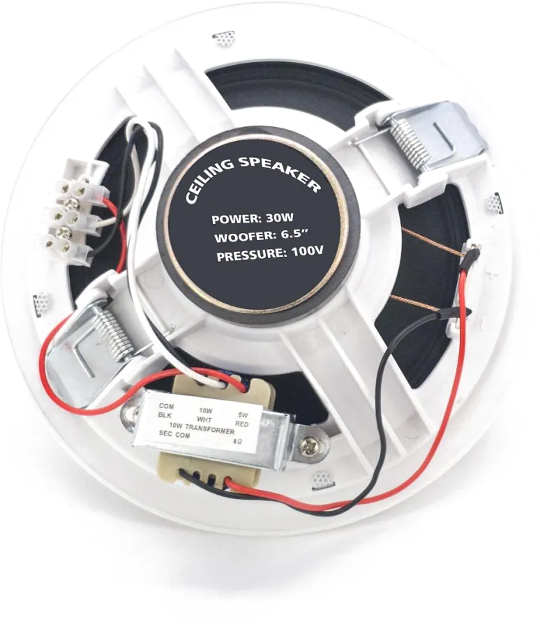 Вбудовуваний динамік - Sky Sound S-2631W/TW