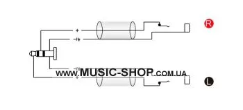Готовый кабель Roxtone RAYC310AL02, 2х1x0.14 кв. мм, вн. диаметр 4x8 мм, 0,2 м