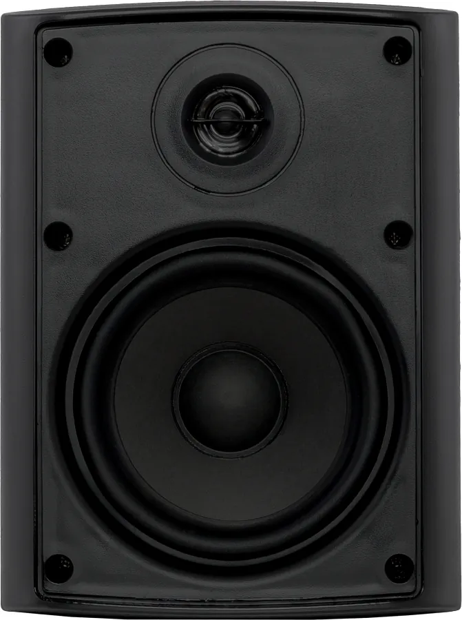 Настенная акустика - Sky Sound NS-30B-TB