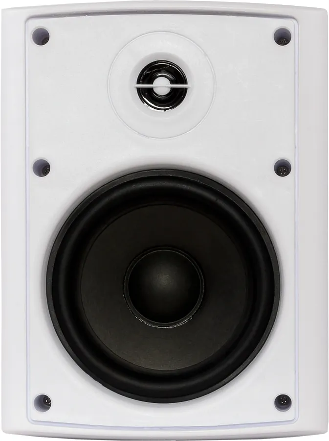 Настенная акустика - Sky Sound NS-30W-TW