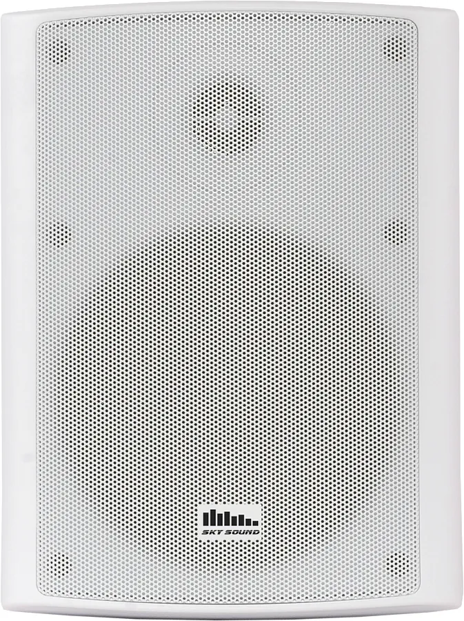 Настенная акустика - Sky Sound NS-30W-TW