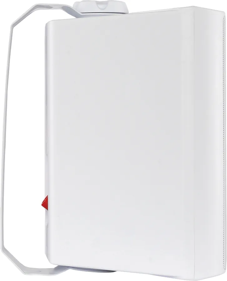 Настенная акустика - Sky Sound NS-30W-TW
