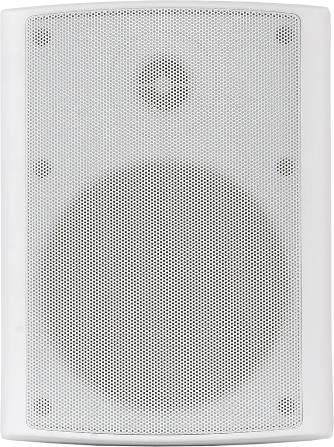 Настенная акустика - Sky Sound NS-40W-TW