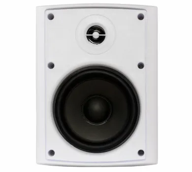 Настенная акустика - Sky Sound NS-50W-TW