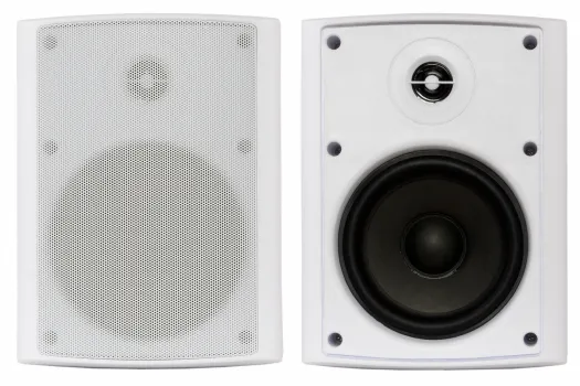 Настенная акустика - Sky Sound NS-50W-TW