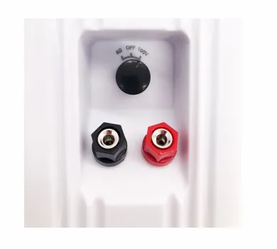 Настенная акустика - Sky Sound NS-50W-TW
