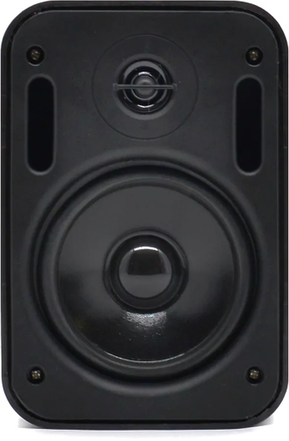 Настенная акустика - Sky Sound PM-2401B-TB