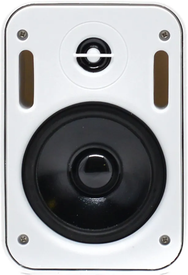 Настенная акустика - Sky Sound PM-2401W-TW