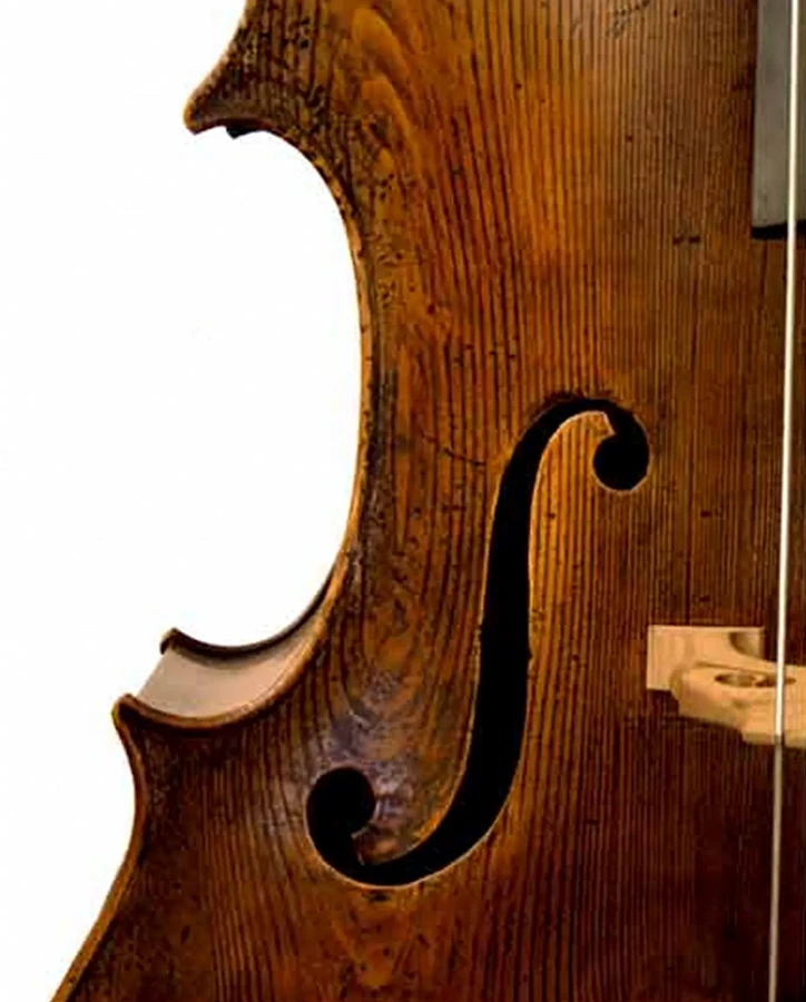 Контрабас Pollmann Guarneri