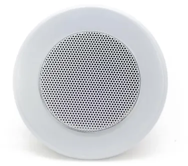 Стельовий динамік - Sky Sound TS-1010TW