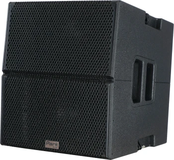 Активний лінійний масив - Park Audio D2-P