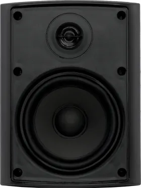 Настенная акустика - Sky Sound NS-30B-TB