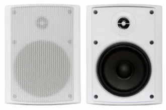 Настенная акустика - Sky Sound NS-50W-TW