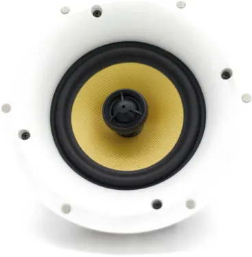 Потолочный динамик - Sky Sound FLC-755 (Hi-Fi)